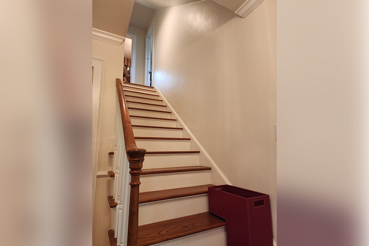 Freshly painted interior hallway with white doors and trim